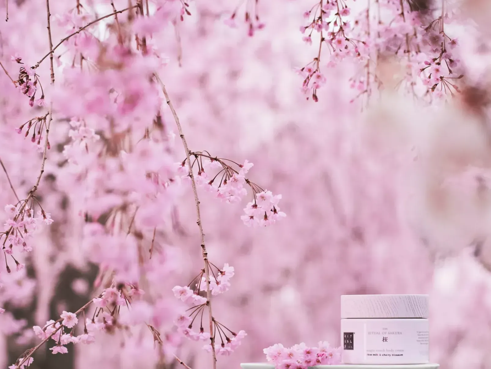 Rituals Cura Del Corpo|Body Cream