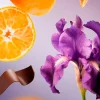 Rituals Profumo|Uomo|Bois Royal