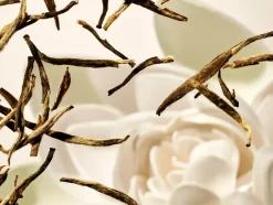 Rituals Diffusore Per Aromaterapia|Cartridge
