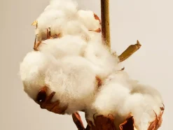 Rituals Bastoncini Profumati|Cotton Blossom Fragrance Sticks