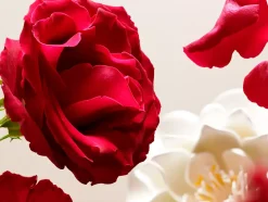 Rituals Make-Up|Skincare Per Lei|Eye Make-Up Remover
