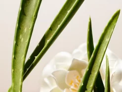 Rituals Make-Up|Skincare Per Lei|Facial Toner