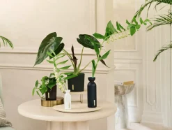 Rituals Bastoncini Profumati|Fragrance Sticks