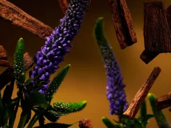 Rituals Bastoncini Profumati|Fragrance Sticks