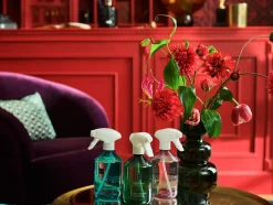 Rituals Spray Per L'Ambiente|Home Perfume