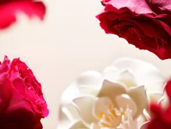 Rituals Skincare Per Lei|Hydrating Eye Cream