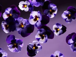 Rituals Bastoncini Profumati|Smooth Violet Mini Fragrance Sticks