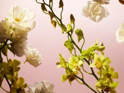 Rituals Profumo|Cura Del Corpo|Travel - Fleurs de l’Himalaya